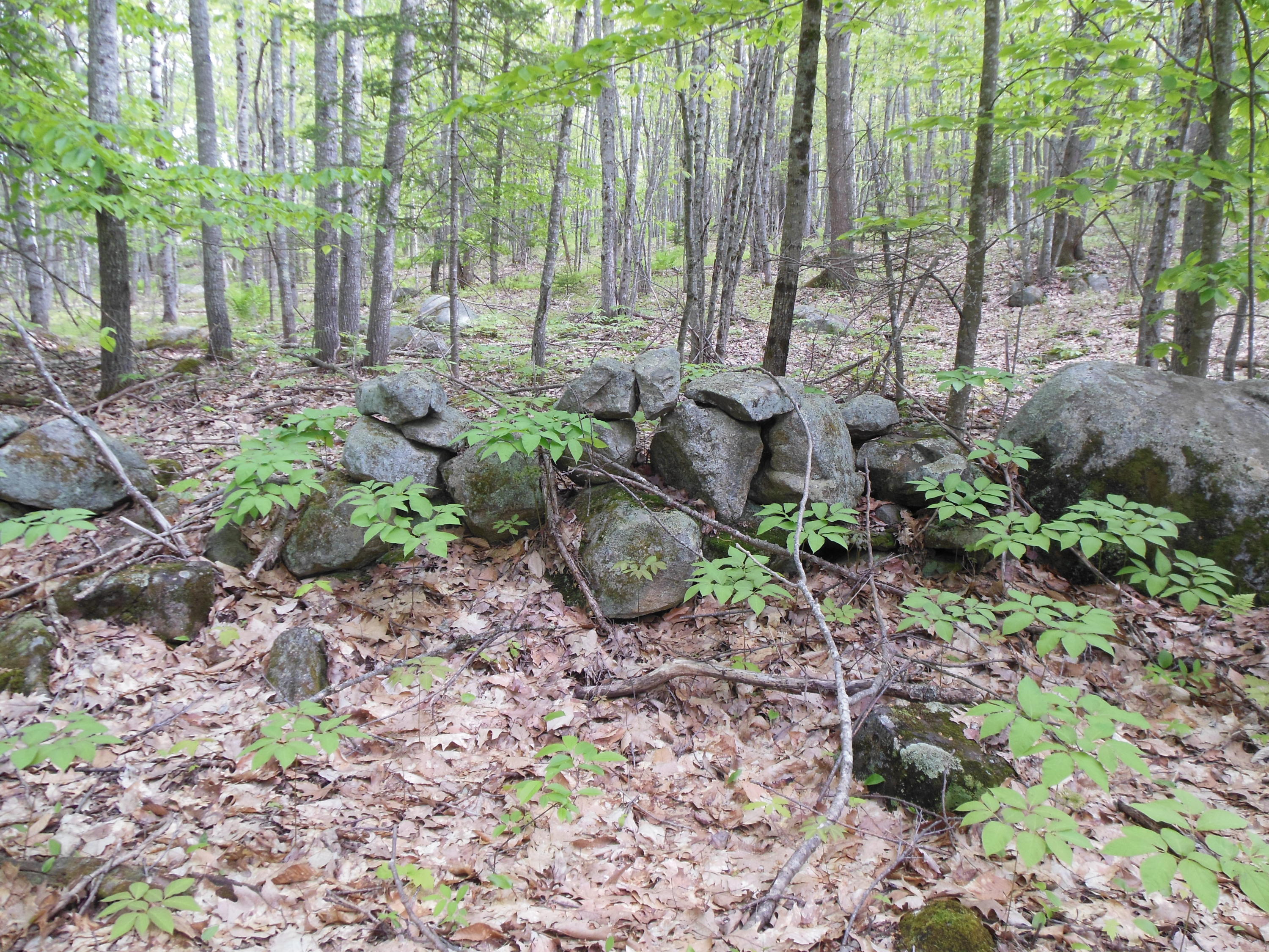 0 Robbins Road Hope, ME 04847 - Photo 15 of 26 DSCN0953