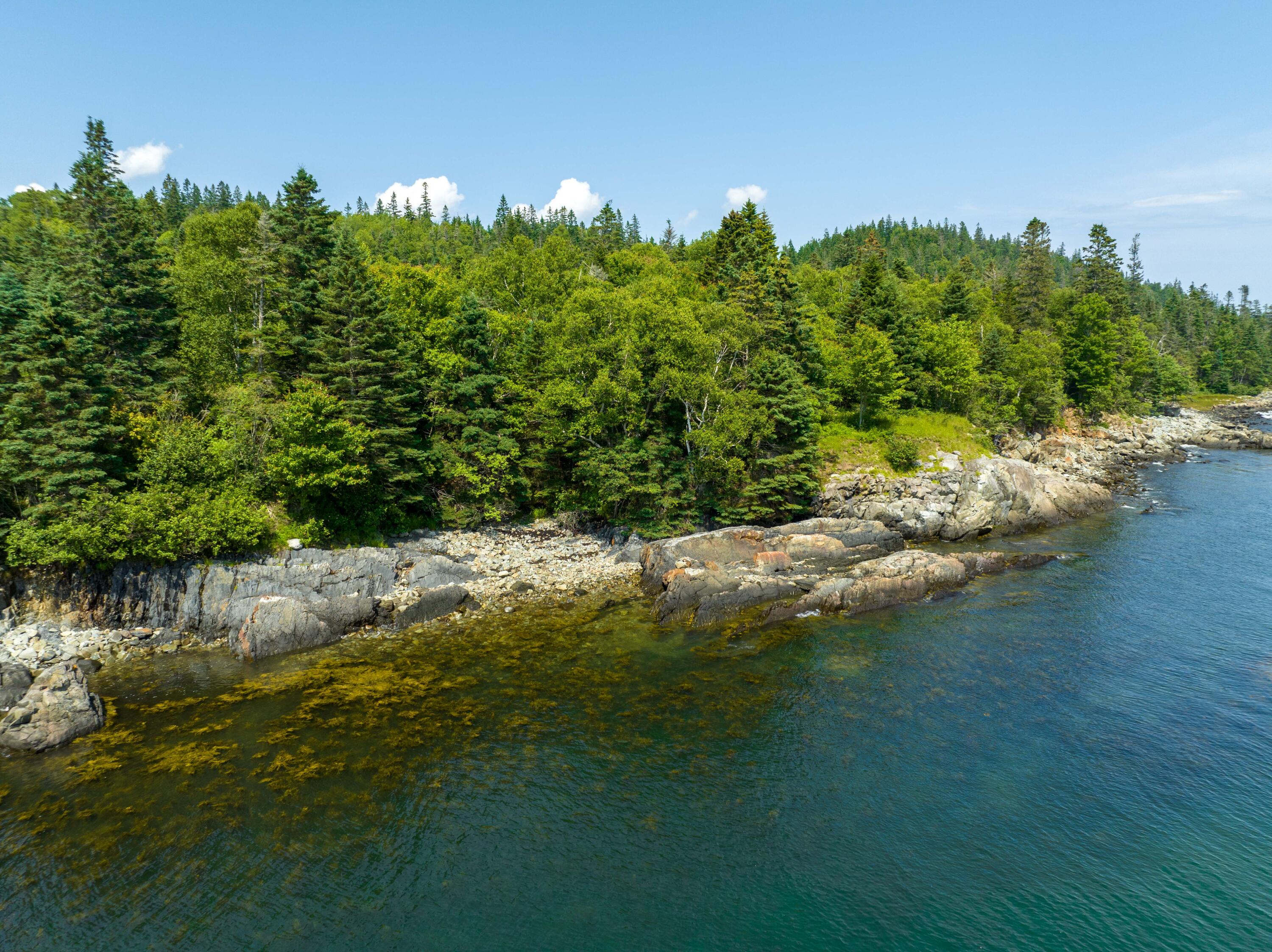 622 Dixie Road Lubec, ME 04652 - Photo 46 of 68 622 Dixie Rd. Lubec (13 of 40)