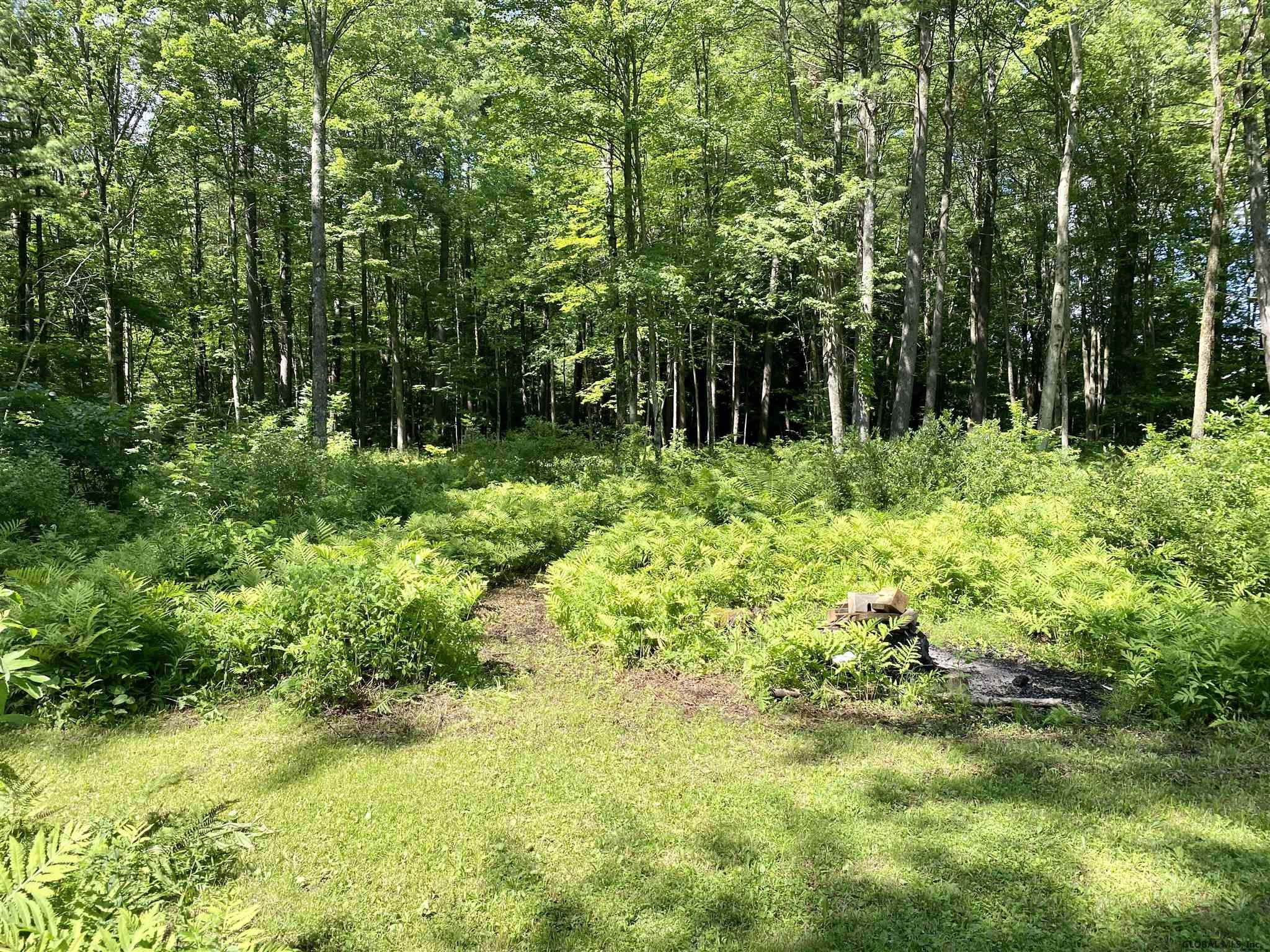 116 Brookline Road Ballston, NY 12020 - Photo 28 of 30 Photo 28