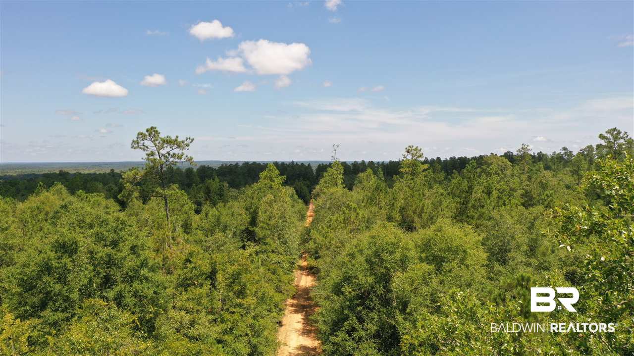 0 Highway 4 Jay, FL 32565 - Photo 29 of 50