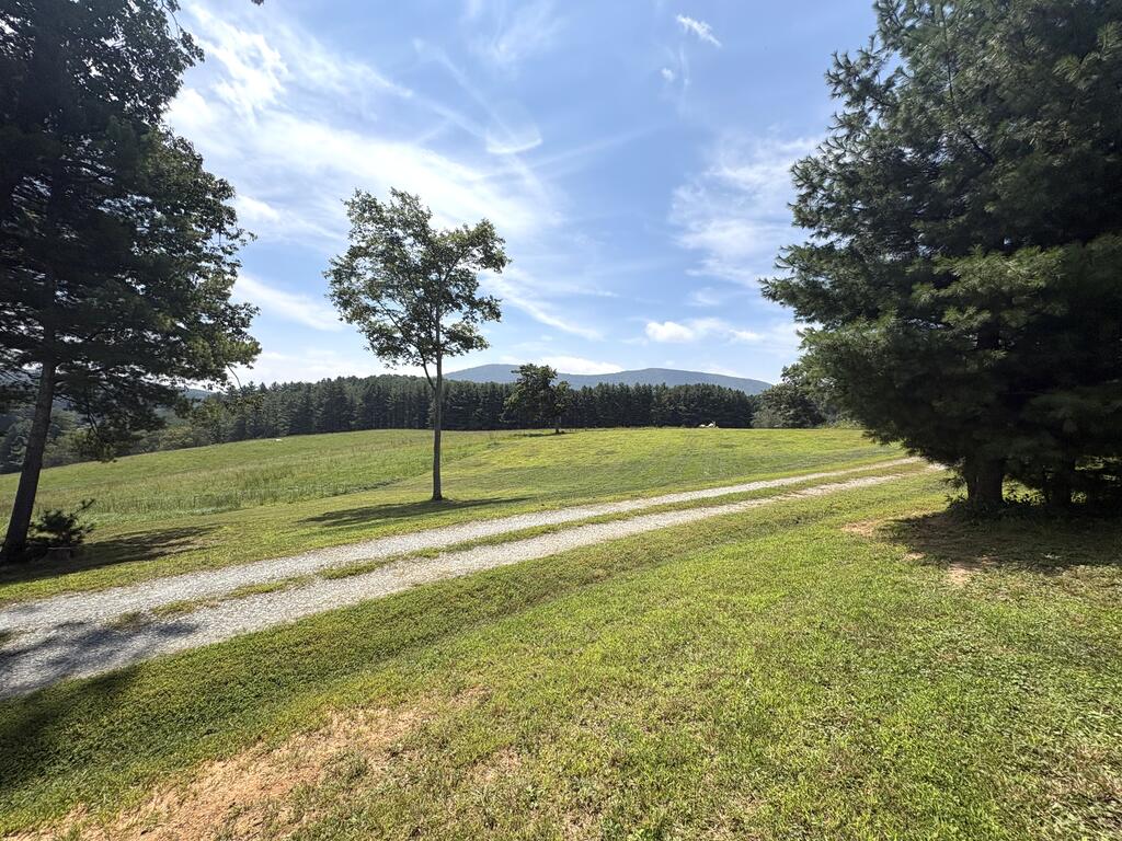21 South S Street, Unit 1 Elkin, NC 28621 - Photo 32 of 57 Gallery Image 32