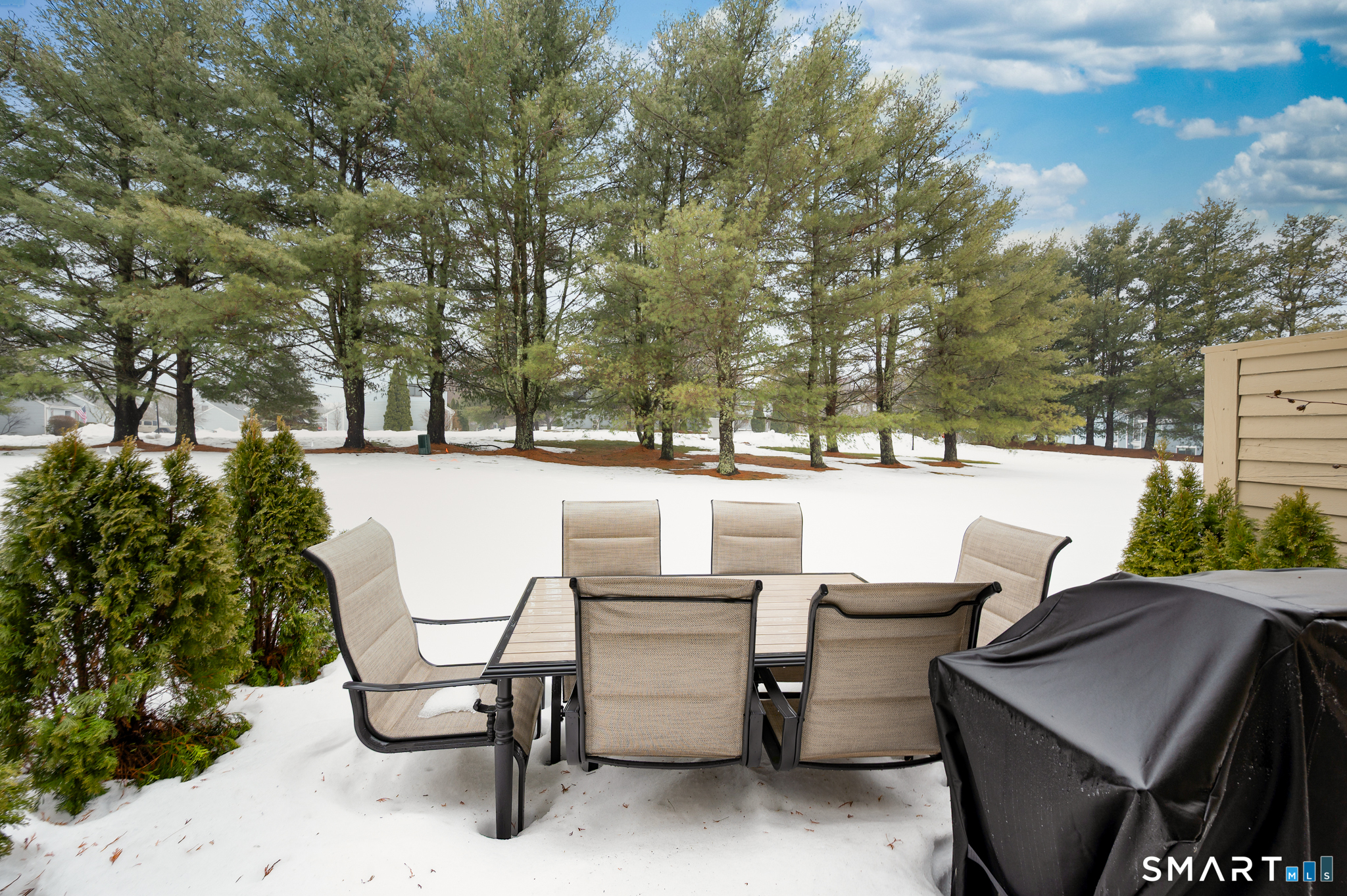 55 Cannon Ridge Drive, Unit 55 Watertown, CT 06795 - Photo 18 of 19