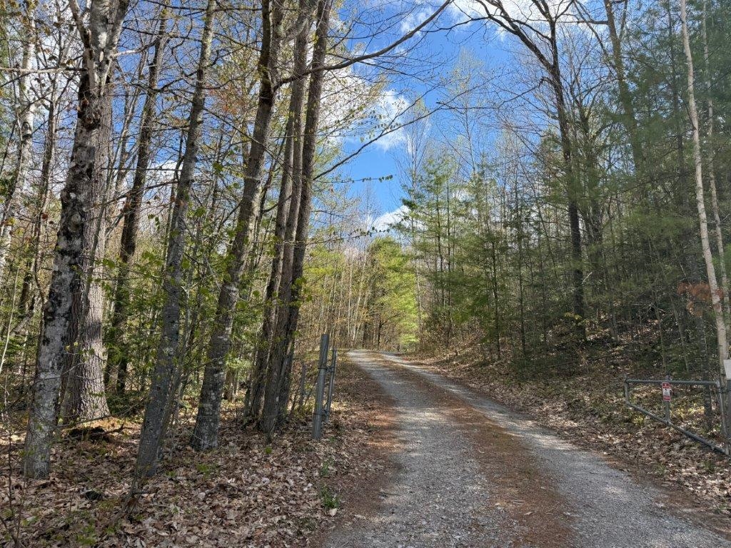 77 Williams Road Canaan, NH 03741 - Photo 8 of 57