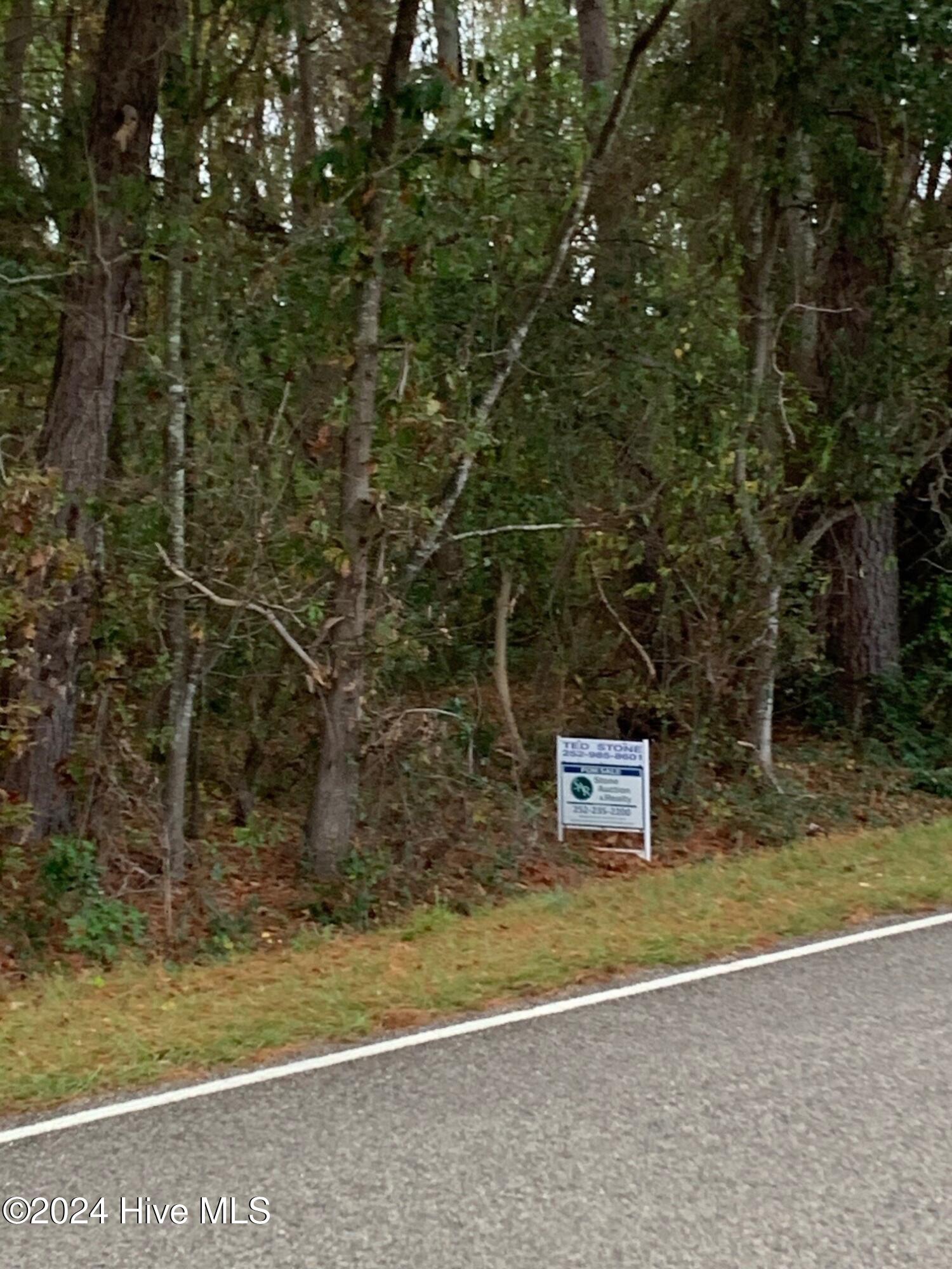 0 Springhill Church Road Lucama, NC 27851 - Photo 2 of 53 SH2