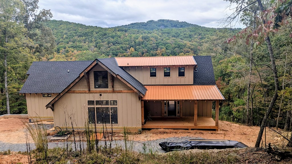 3549 Salem Road Mineral Bluff, GA 30559 - Photo 4 of 17