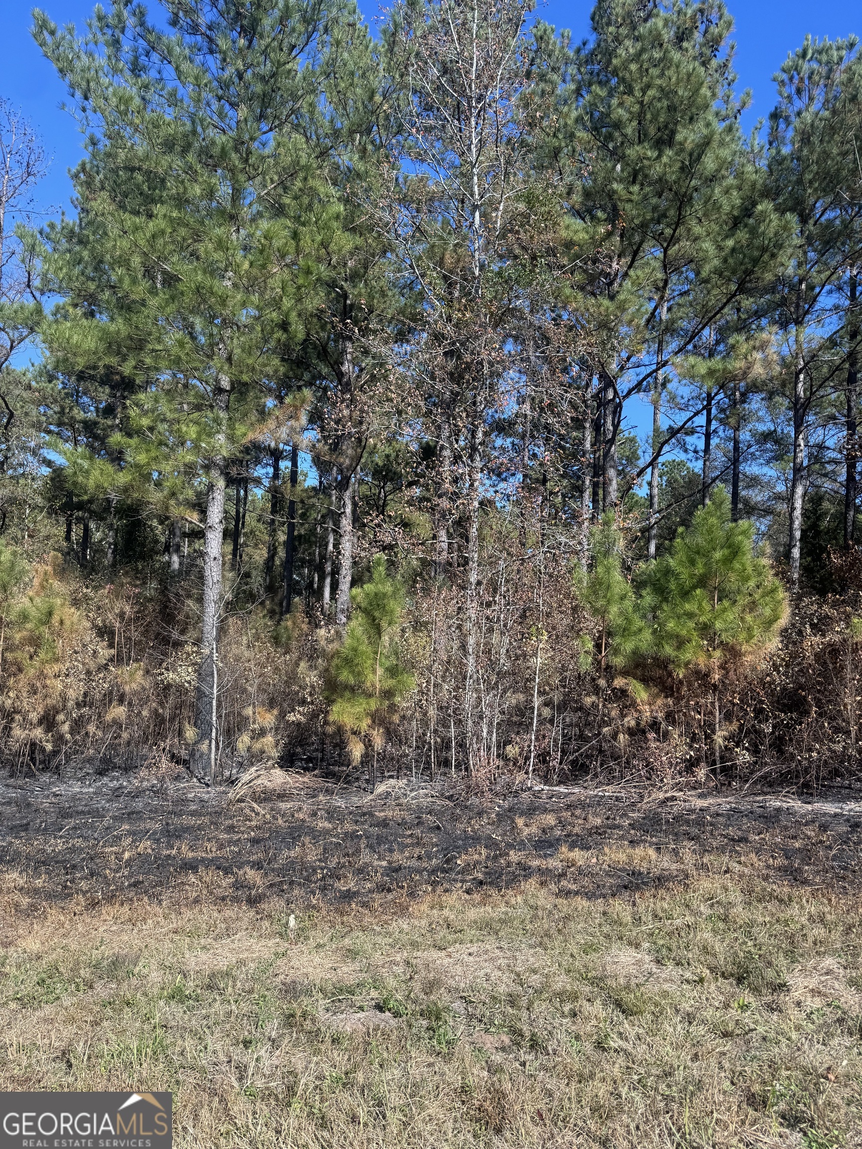 131 West Drummond Road West Point, GA 31833 - Photo 2 of 6