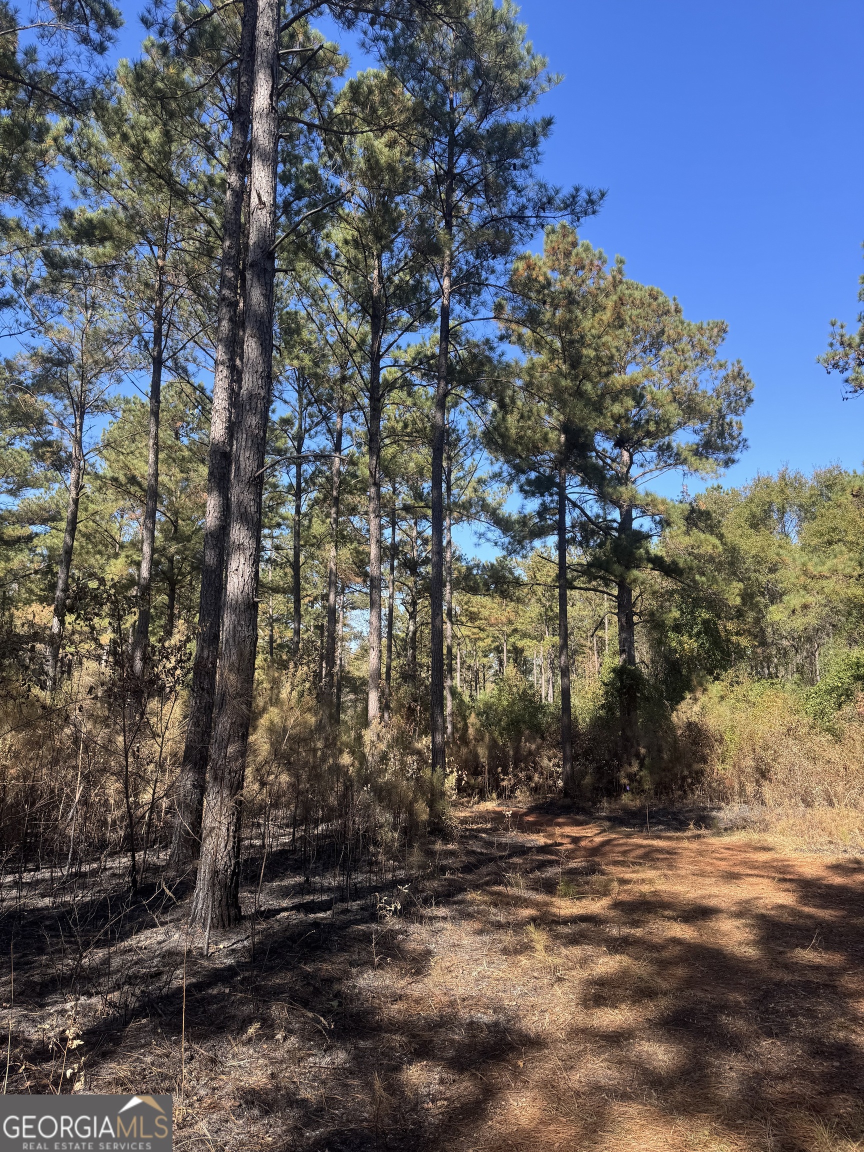 131 West Drummond Road West Point, GA 31833 - Photo 4 of 6