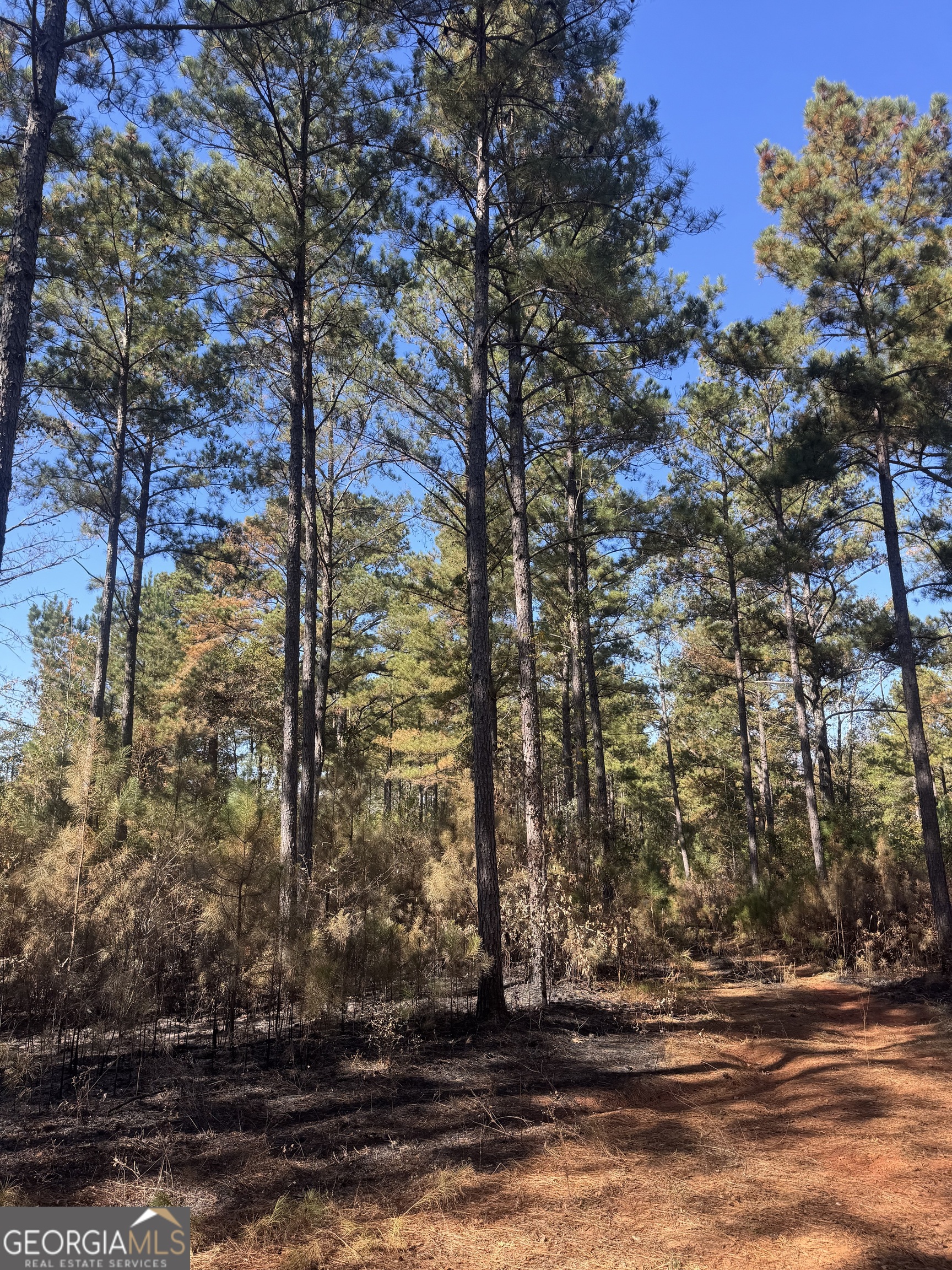 131 West Drummond Road West Point, GA 31833 - Photo 5 of 6