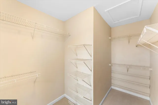 a view of walk in closet