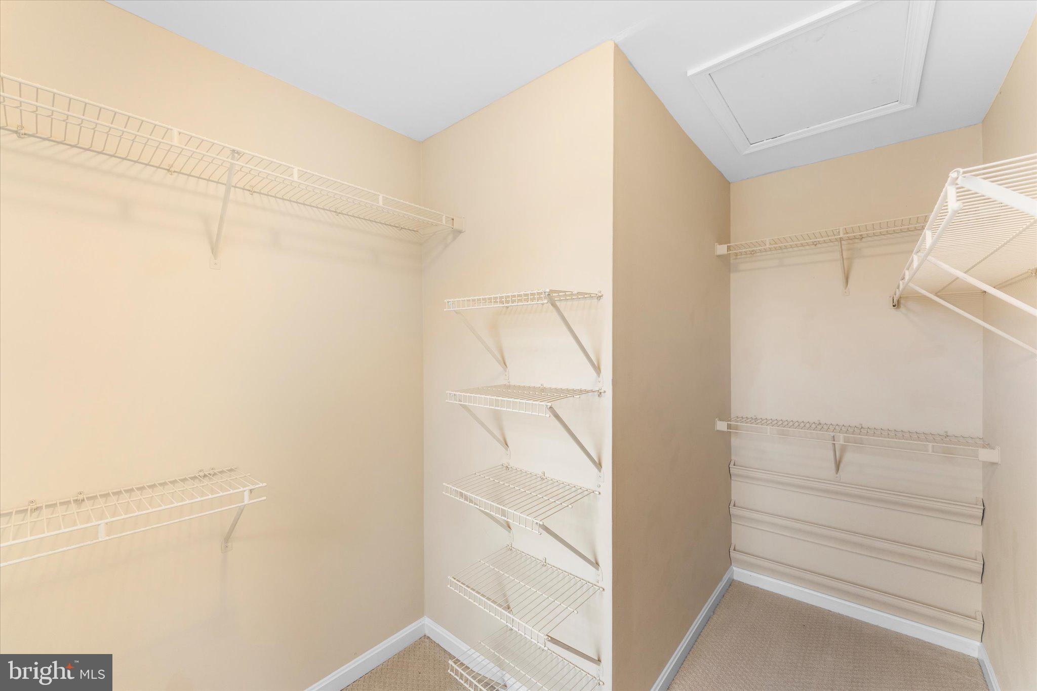 10140 Forest Hill Circle Manassas, VA 20110 - Photo 20 of 42 a view of walk in closet