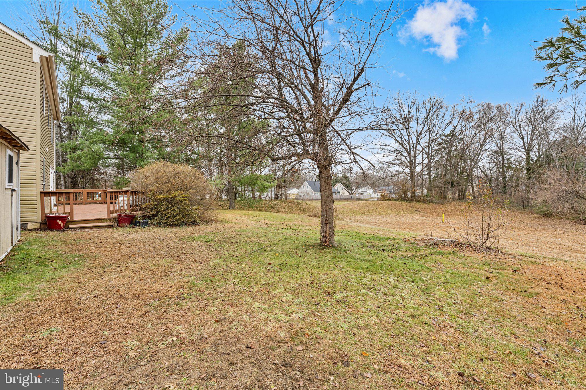 10140 Forest Hill Circle Manassas, VA 20110 - Photo 35 of 42 a tree in the middle of a yard