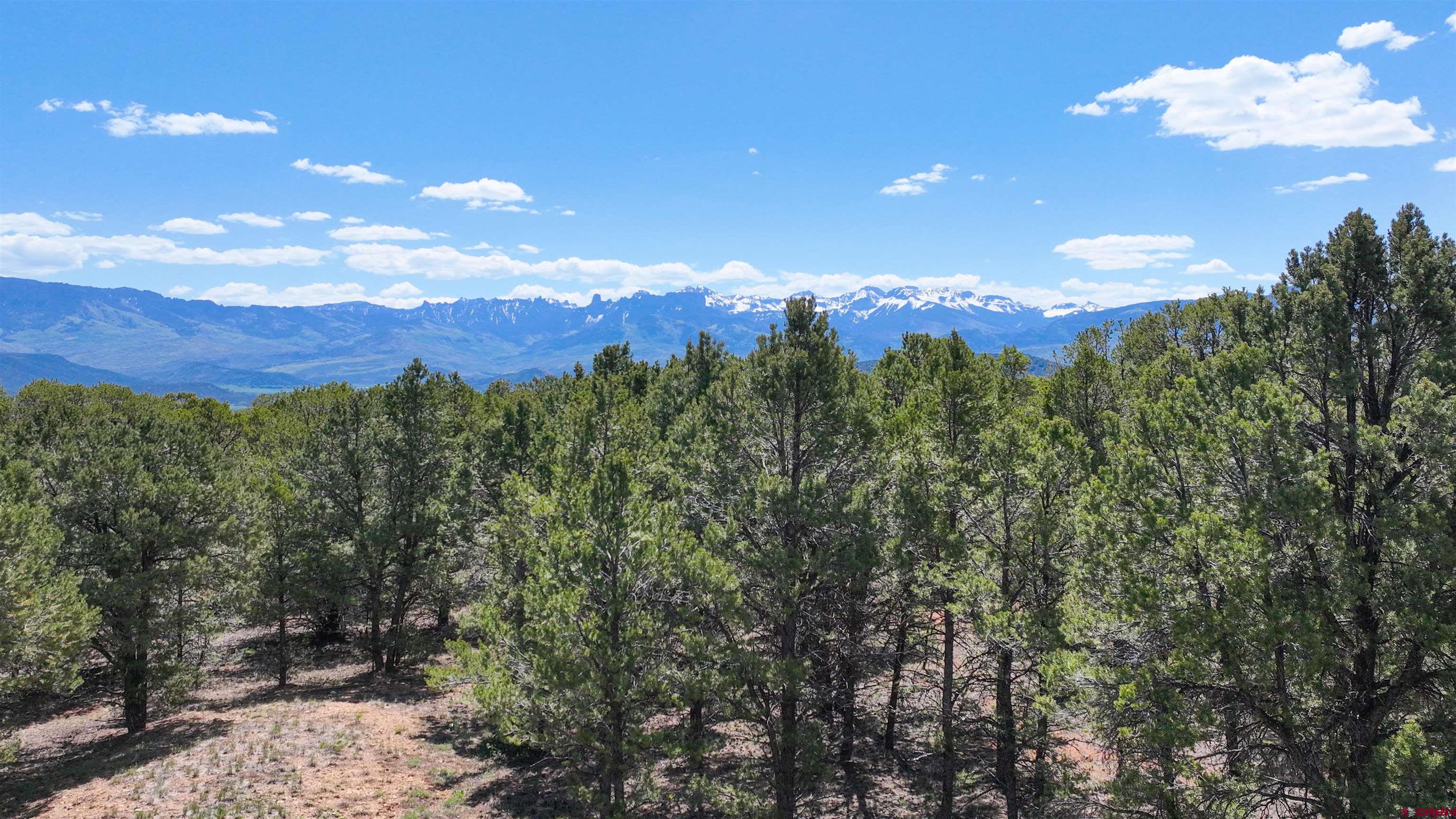76 Pinnacle Drive Ridgway, CO 81432 - Photo 33 of 37 Gallery Image 33