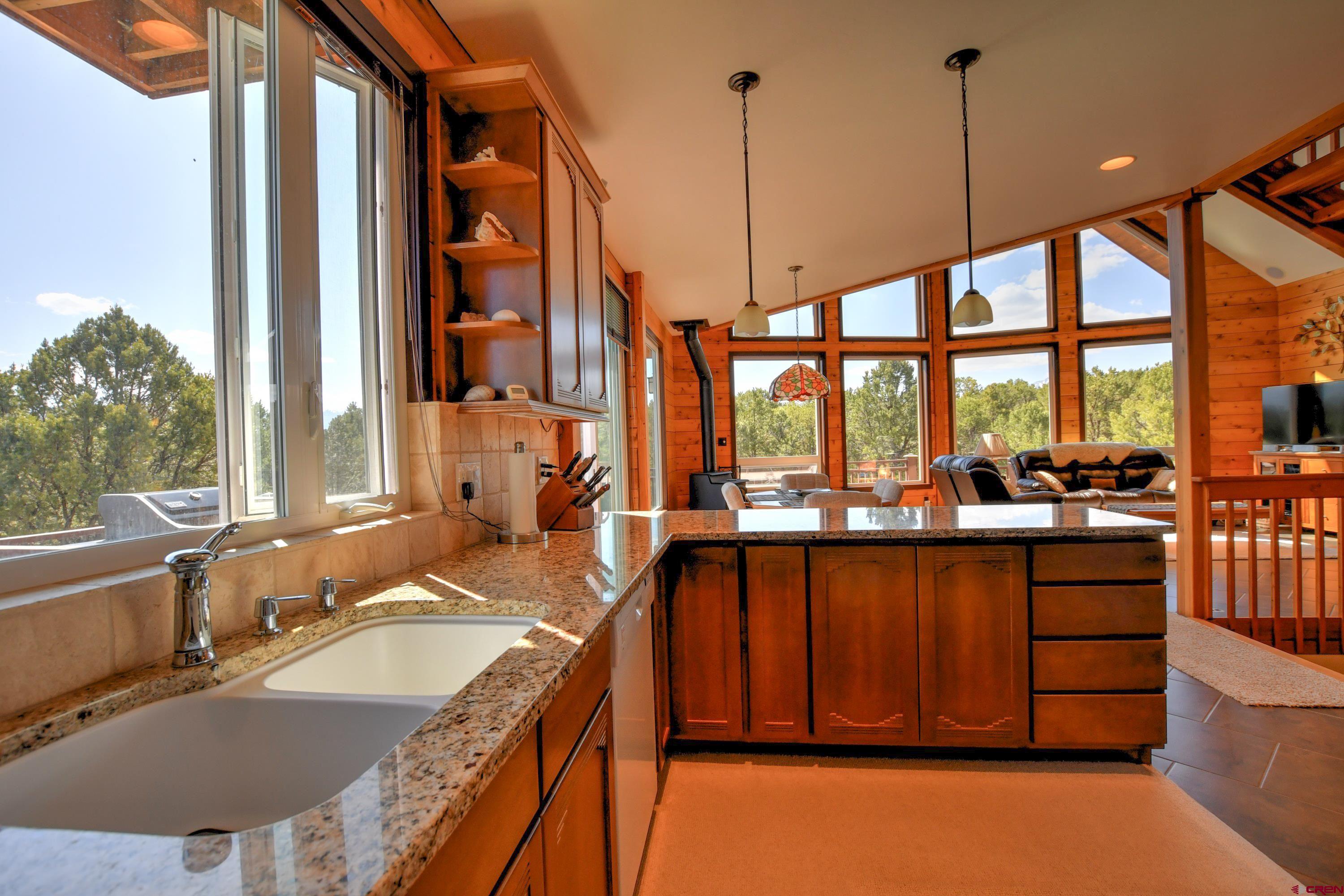 76 Pinnacle Drive Ridgway, CO 81432 - Photo 9 of 37 Gallery Image 9
