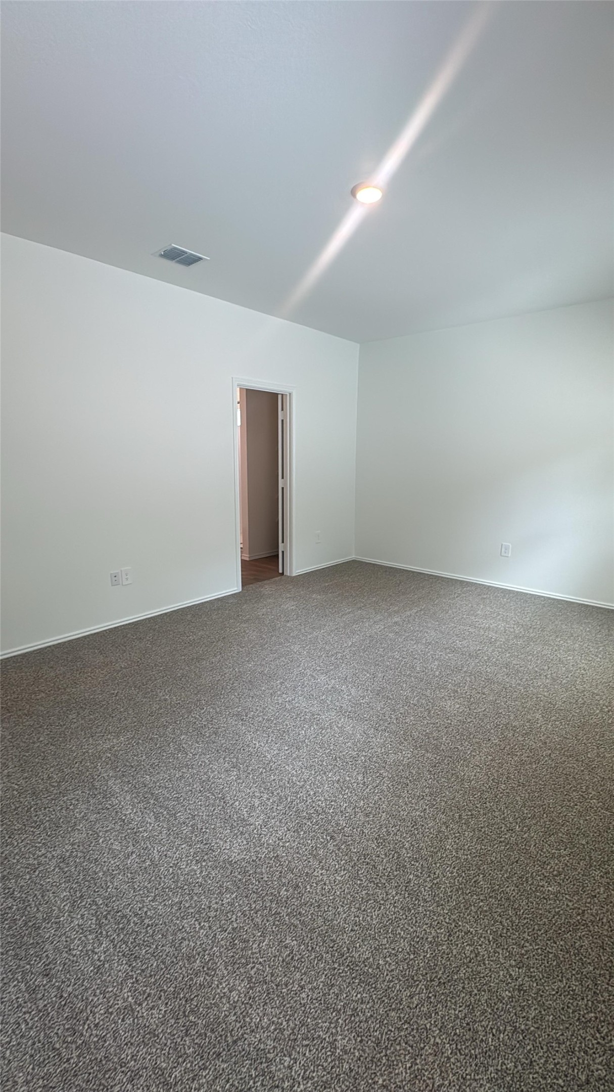 174 Balmorhea Street Kyle, TX 78640 - Photo 23 of 29 A spacious room awaits personalization with plush carpet and bright overhead lighting.