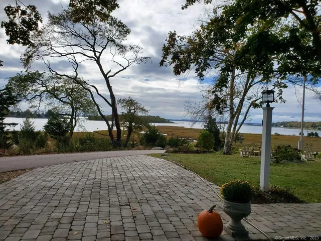 a view of a garden with an outdoor space
