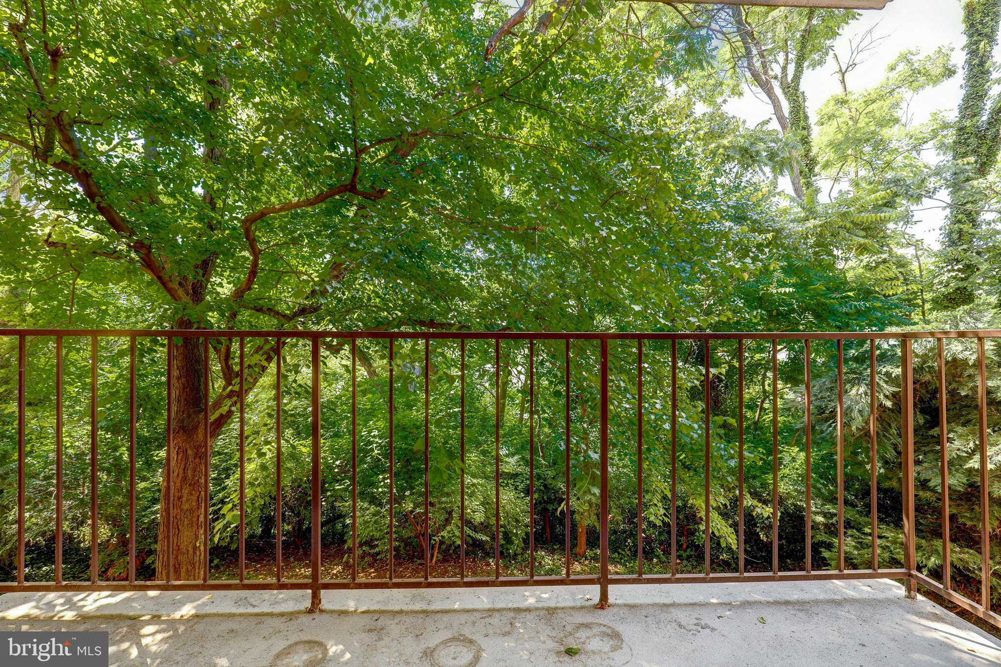 6250 Edsall Road, Unit 203 Alexandria, VA 22312 - Photo 3 of 31 a view of a street