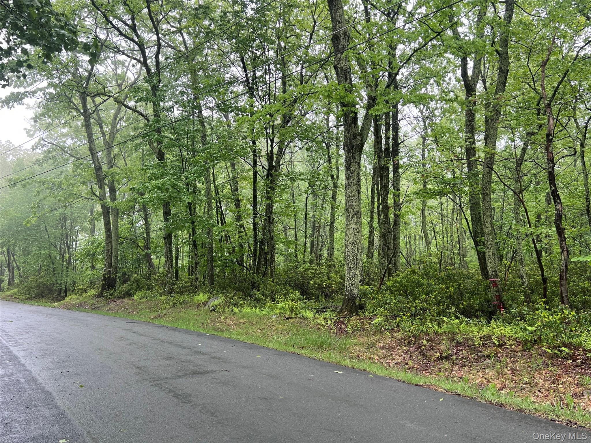 Budd Road Wurtsboro, NY 12790 - Photo 9 of 13 Offered for only $82,000.00