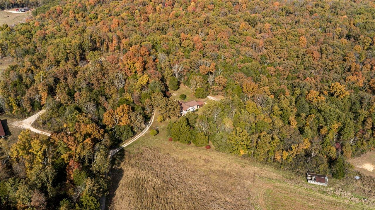 302 Curd Road Cave City, KY 42127 - Photo 14 of 48 Gallery Image 14
