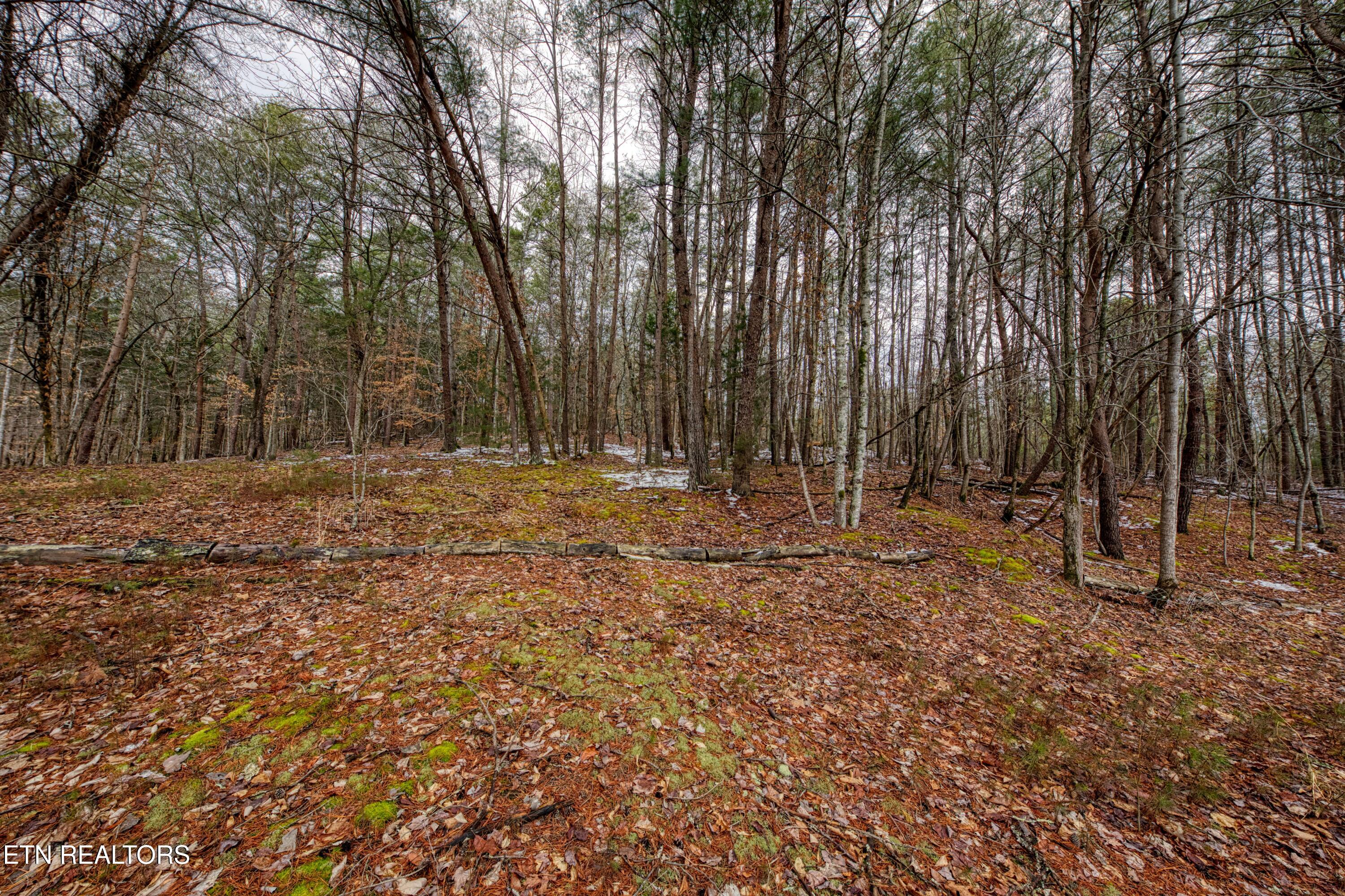 686 Thomas Road Sevierville, TN 37876 - Photo 17 of 43 Back
