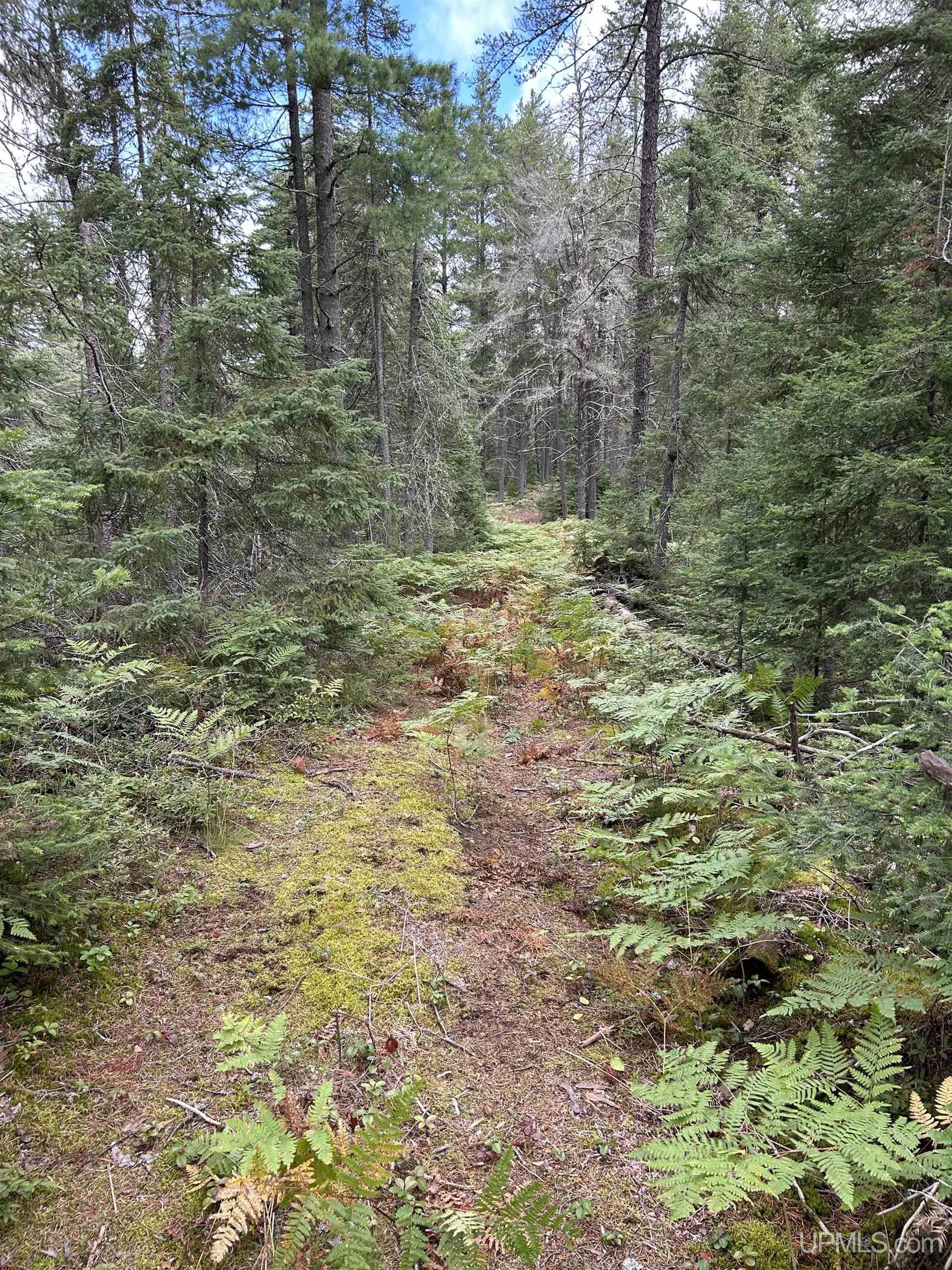 573 Rd Ishpeming Mi 49849 Road Ishpeming, MI 49849 - Photo 15 of 20