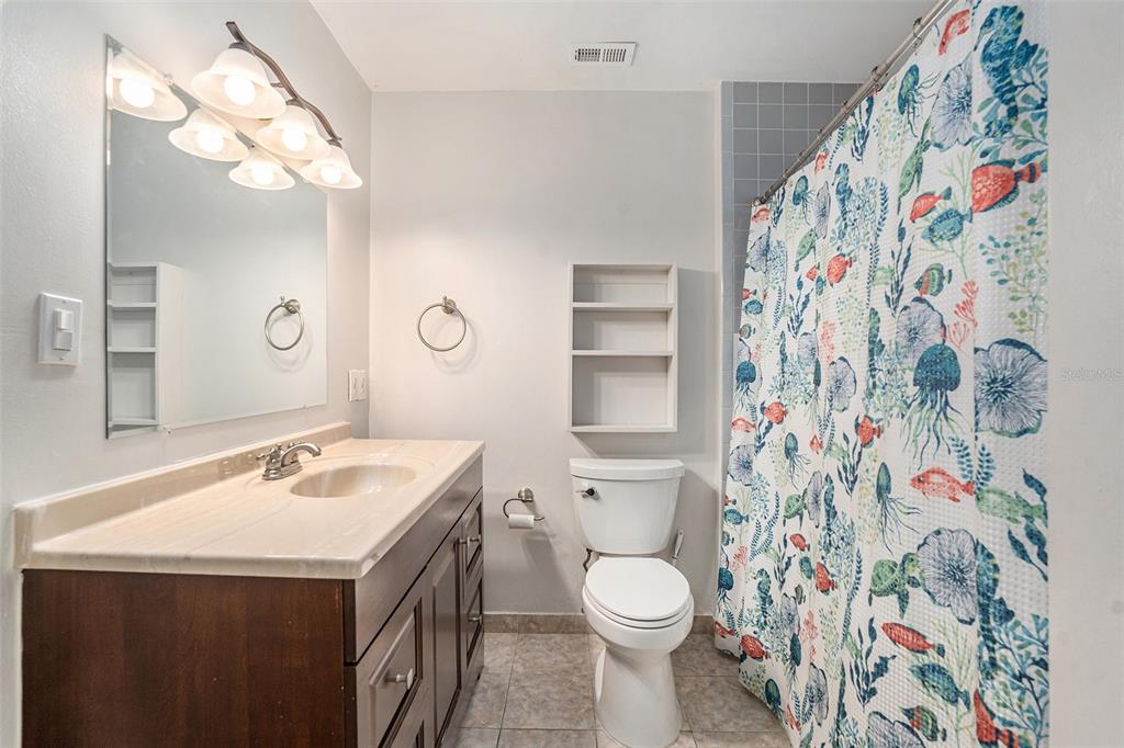 5305 Whiteway Drive Temple Terrace, FL 33617 - Photo 20 of 22 a bathroom with a sink and a mirror