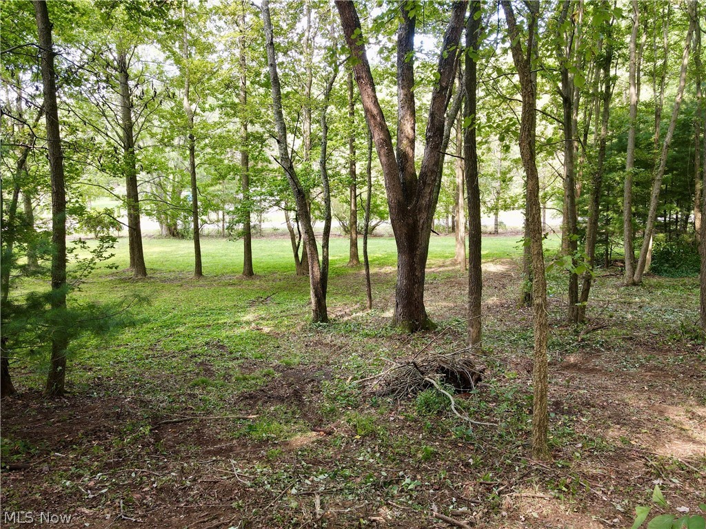 Middle Run Road Northwest Dover, OH 44622 - Photo 3 of 18 Gallery Image 3