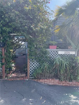 a view of a potted plants next to a yard