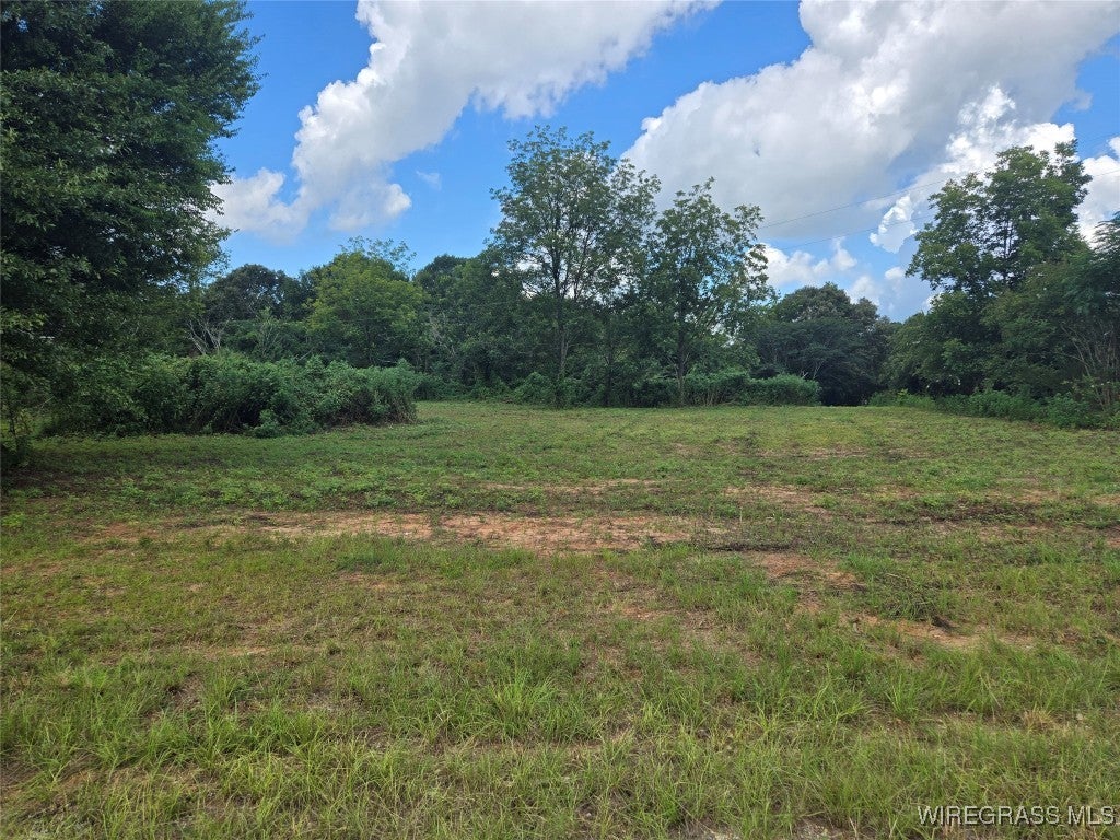 908 Daniel Branch Road Highland Home, AL 36041 - Photo 1 of 6 Gallery Image 1