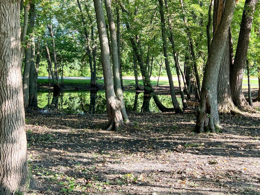 3503 Deep Cut Road Woodstock, IL 60098 - Photo 5 of 34