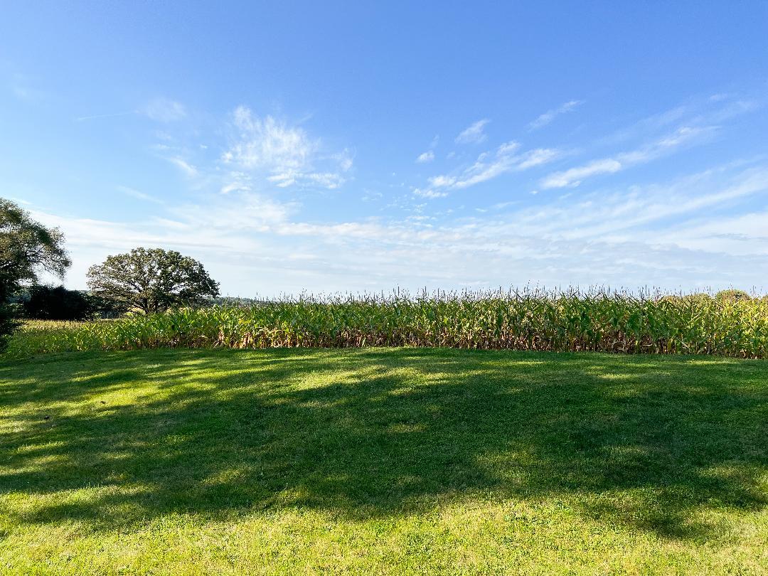 3503 Deep Cut Road Woodstock, IL 60098 - Photo 7 of 34 a view of a golf course with a lake