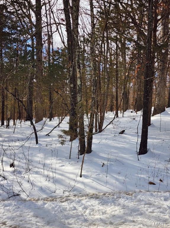 0 Rue Charlotte Bonne Terre, MO 63628 - Photo 5 of 5