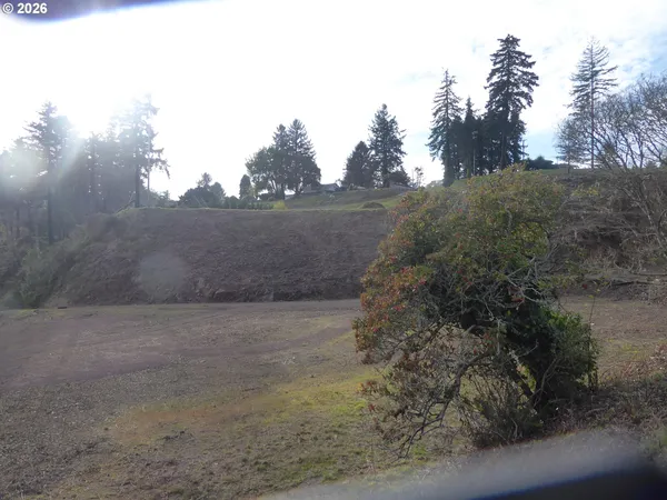 a view of a dirt road with trees in the background