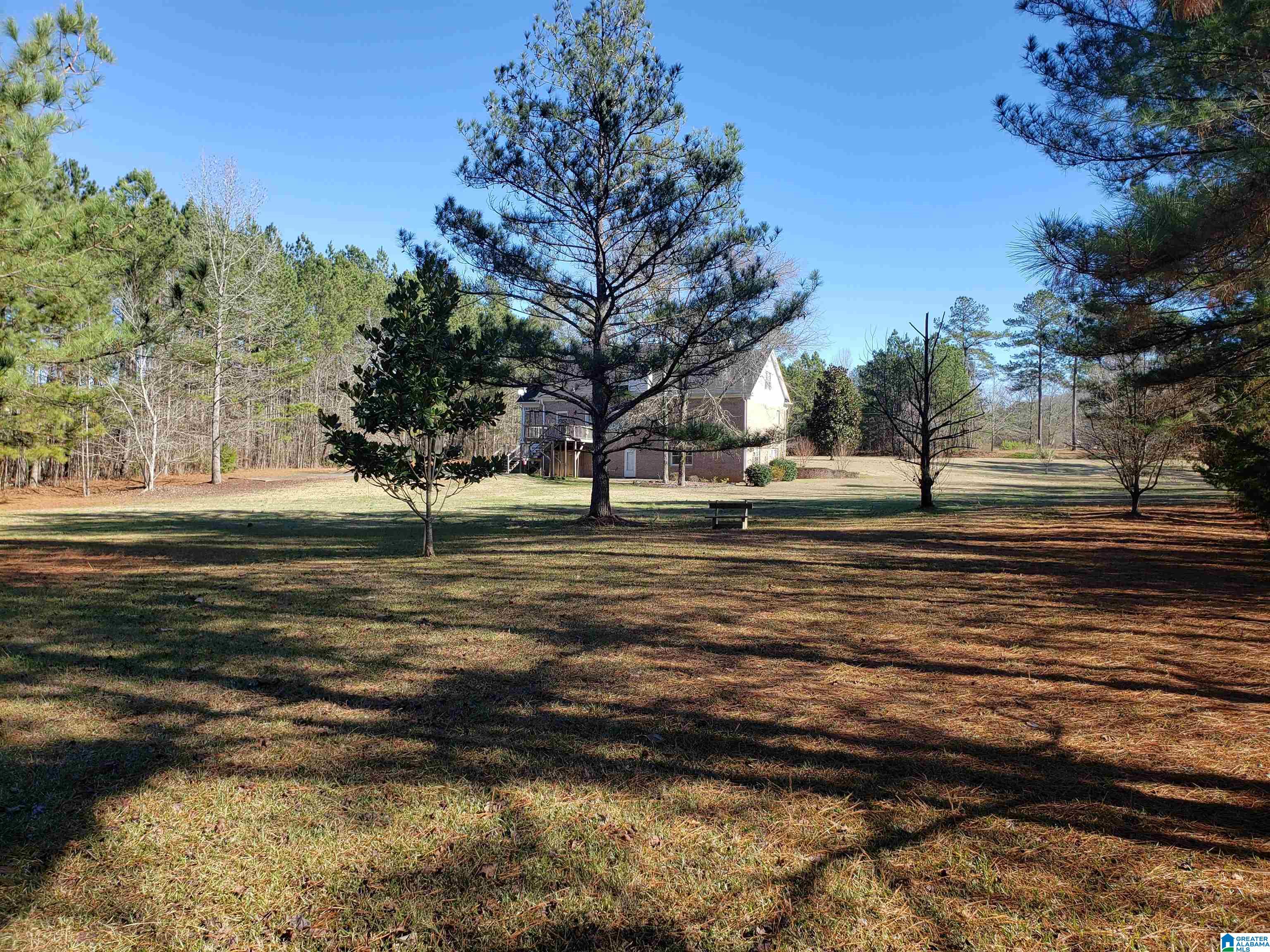 820 Beaver Ridge Drive Ashville, AL 35953 - Photo 43 of 45