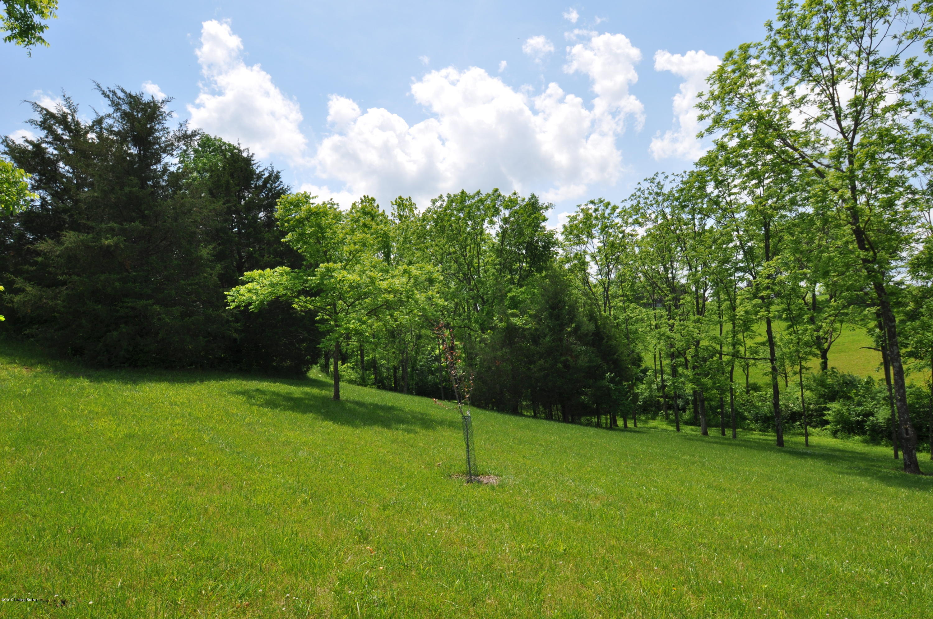 8868 Lagrange Road Smithfield, KY 40068 - Photo 98 of 98 DSC_0369