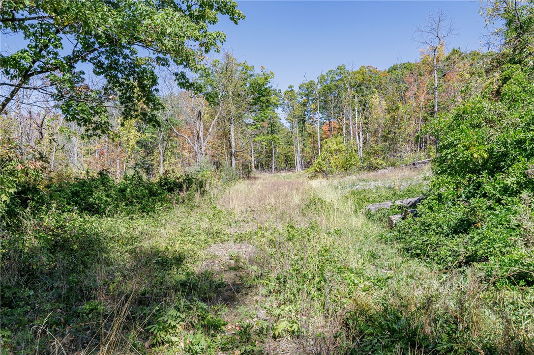 8302 Wesley Road Richmond, NY 14471 - Photo 11 of 40