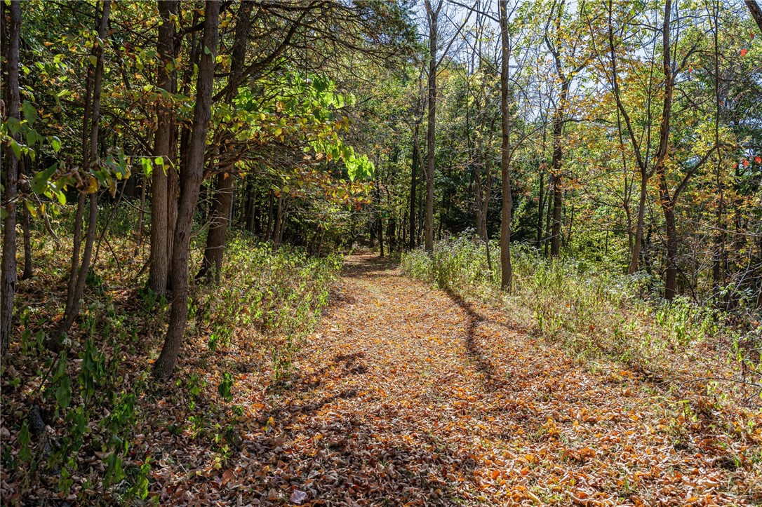 8302 Wesley Road Richmond, NY 14471 - Photo 13 of 40