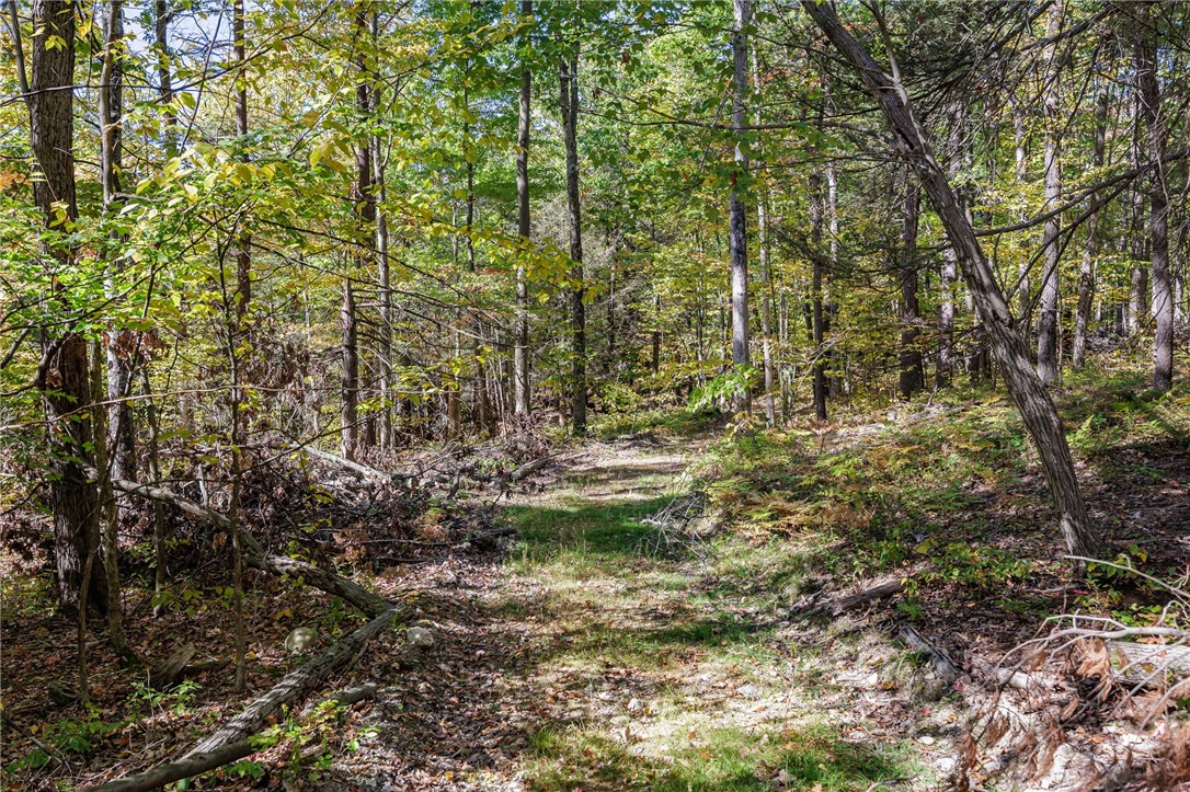 8302 Wesley Road Richmond, NY 14471 - Photo 20 of 40