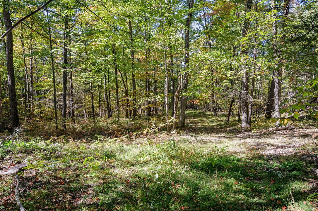 8302 Wesley Road Richmond, NY 14471 - Photo 23 of 40