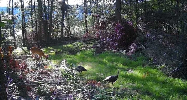 $364,900 | 8302 Wesley Road, Richmond, NY 14471