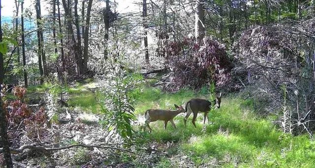 $364,900 | 8302 Wesley Road, Richmond, NY 14471