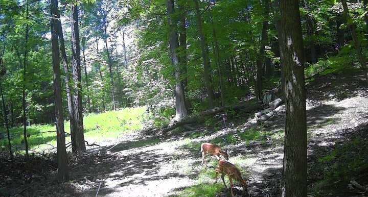 8302 Wesley Road Richmond, NY 14471 - Photo 28 of 40