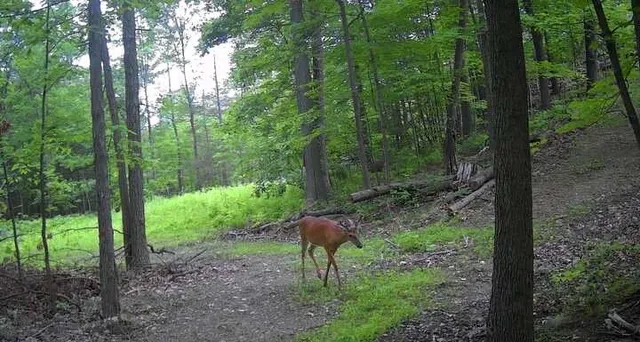 $329,900 | 8302 Wesley Road, Richmond, NY 14471