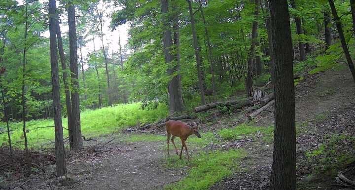 8302 Wesley Road Richmond, NY 14471 - Photo 29 of 40