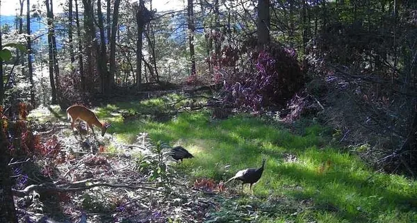 $329,900 | 8302 Wesley Road, Richmond, NY 14471