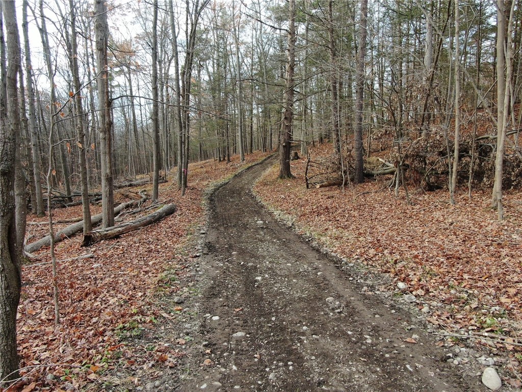 8302 Wesley Road Richmond, NY 14471 - Photo 3 of 40