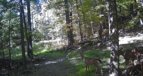 $329,900 | 8302 Wesley Road, Richmond, NY 14471