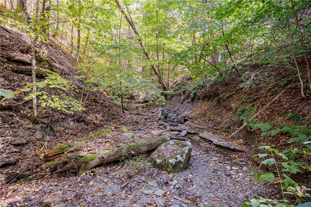 8302 Wesley Road Richmond, NY 14471 - Photo 34 of 40