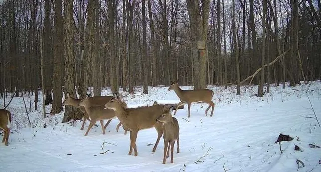 $364,900 | 8302 Wesley Road, Richmond, NY 14471