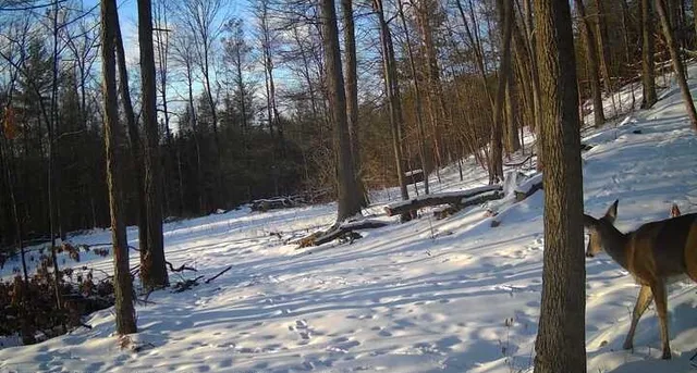 $364,900 | 8302 Wesley Road, Richmond, NY 14471