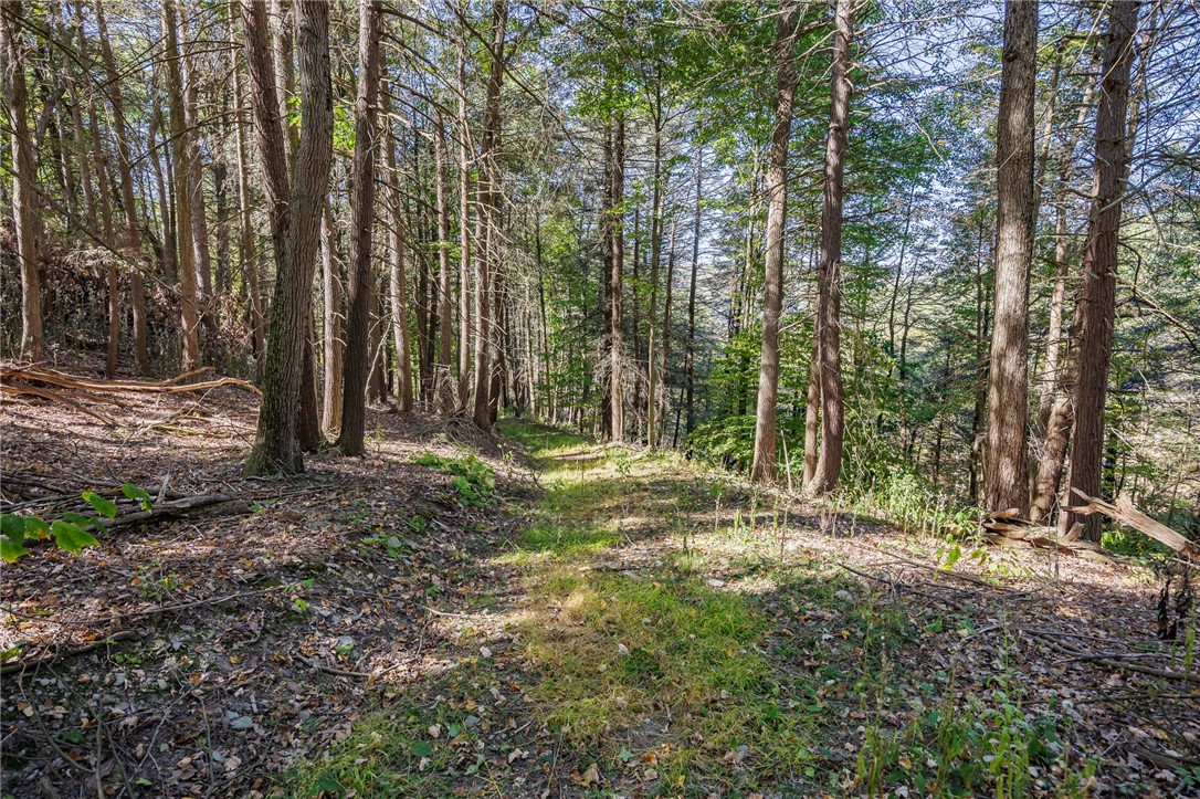 8302 Wesley Road Richmond, NY 14471 - Photo 36 of 40